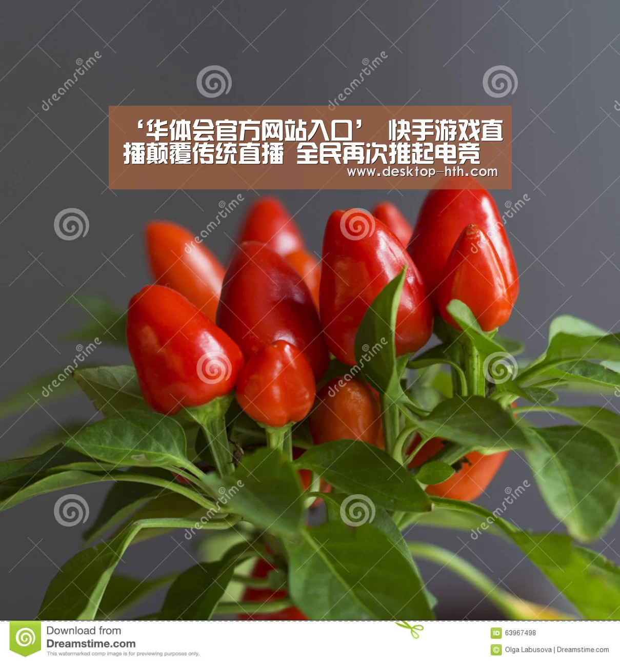 华体会下载