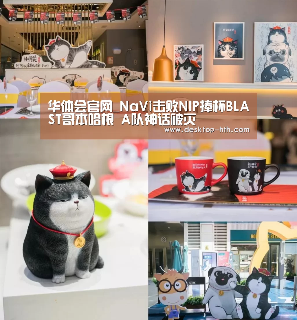 华体会官网_NaVi击败NIP捧杯BLAST哥本哈根 A队神话破灭(图1) 华体会官方网站入口